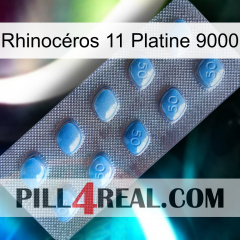 Rhinocéros 11 Platine 9000 viagra3